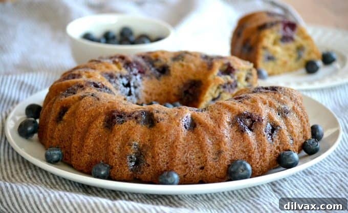 A beautifully baked Eggless Blueberry Coriander Bundt Cake, garnished with fresh blueberries, ready to be enjoyed with morning coffee or as a delightful dessert.