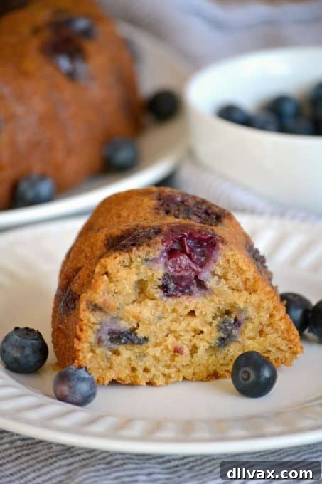 Close-up of a slice of Eggless Blueberry Coriander Bundt Cake revealing the tender crumb, juicy blueberries, and the unique spice blend, perfect for a cozy moment.