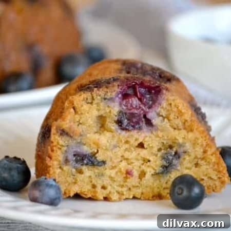 A beautifully baked Eggless Blueberry Coriander Bundt Cake, garnished with fresh blueberries, ready to be enjoyed with morning coffee or as a delightful dessert.