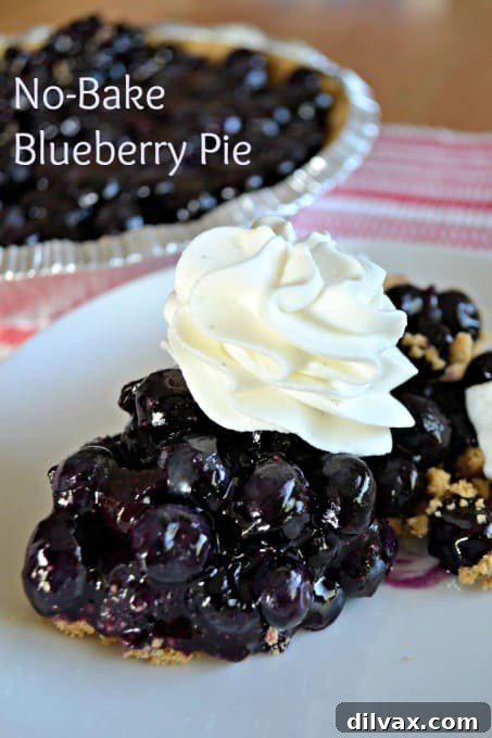 An easy and delicious blueberry pie that you don't have to bake, perfect for a refreshing summer treat.