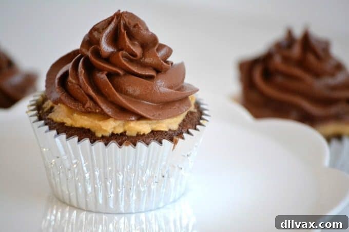 Decadent Peanut Butter Chocolate Cupcakes 3 Double Chocolate Peanut Butter Filled Cupcakes - moist chocolate cupcakes with a creamy peanut butter center topped with chocolate buttercream.