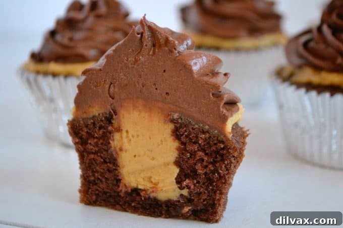 Decadent Peanut Butter Chocolate Cupcakes 5 A tray of freshly baked Double Chocolate Peanut Butter Filled Cupcakes, ready to be enjoyed.