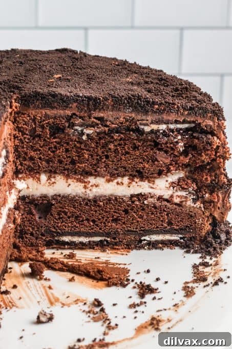 Decadent Oreo Dream Cake 12 A wide shot of a whole Chocolate Cake with Oreos baked inside, displaying its inviting presentation.