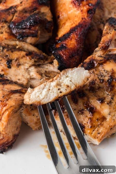 Foolproof Chicken Marinade 12 Close-up of a perfectly cooked, marinated chicken breast.