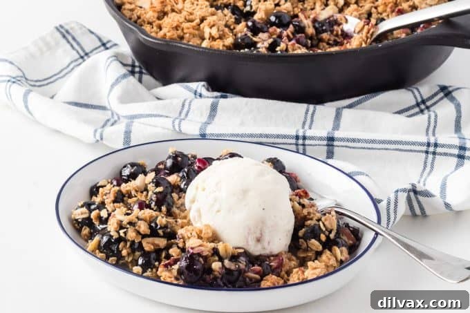 Golden Skillet Blueberry Crisp 2 Skillet Blueberry Crisp