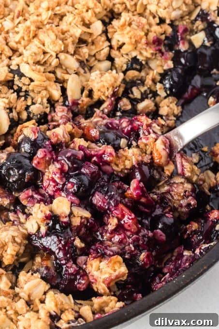 Golden Skillet Blueberry Crisp 11 Skillet Blueberry Crisp
