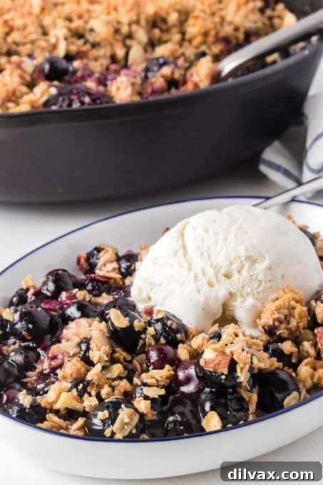 Golden Skillet Blueberry Crisp 10 Easy Blueberry Crisp made in a cast iron skillet and topped with vanilla ice cream.