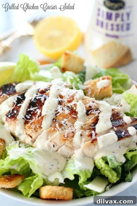 A refreshing Grilled Chicken Caesar Salad with perfectly cooked chicken strips.