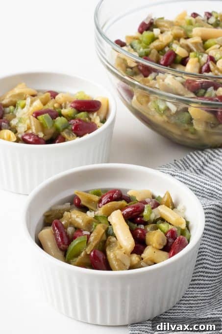 A bowl of cold bean salad with a simple vinaigrette, featuring mixed beans and vegetables.