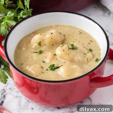 Soulful Homemade Chicken and Dumplings 11 Chicken and Dumplings