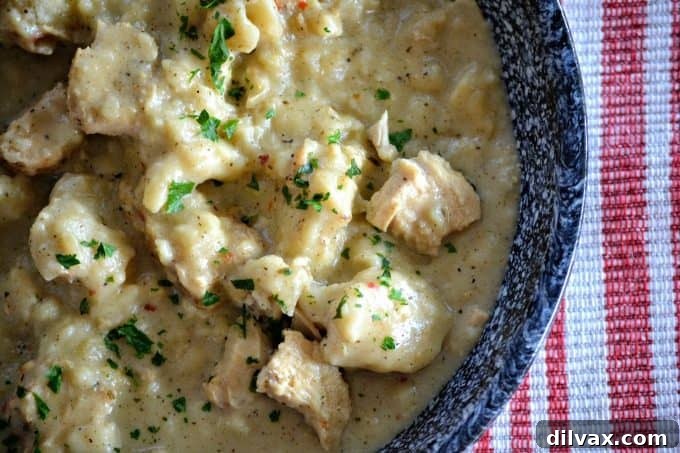 Grandma's Favorite Chicken and Dumplings 12 Chicken 'N' Dumplins - diced chicken in a flavorful broth topped with mounds of buttermilk dumplins. This is southern cooking comfort food at its' finest.