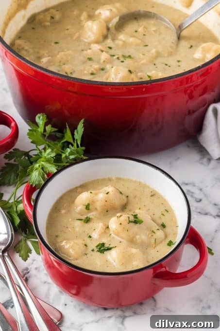 Soulful Homemade Chicken and Dumplings 3 Chicken and Dumplings