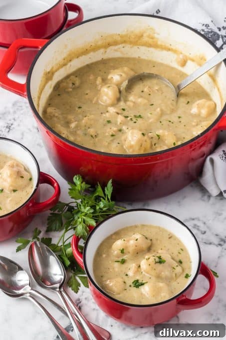 Soulful Homemade Chicken and Dumplings 7 Homemade chicken with dumplings soup