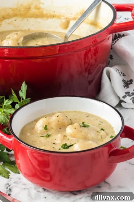 Grandma's Favorite Chicken and Dumplings 8 Chicken N Dumplins from scratch.