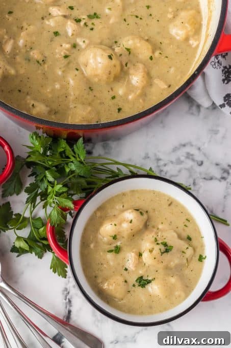 Grandma's Favorite Chicken and Dumplings 9 Dumplings made from scratch in homemade chicken soup.
