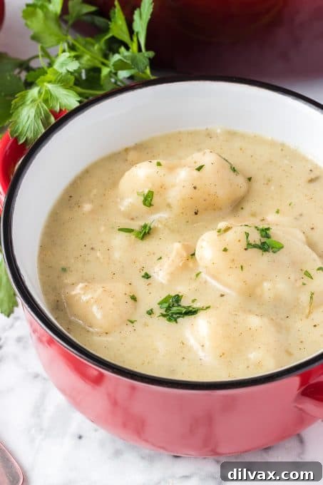 Soulful Homemade Chicken and Dumplings 10 A bowl of dumplings made from scratch in a thick chicken soup.