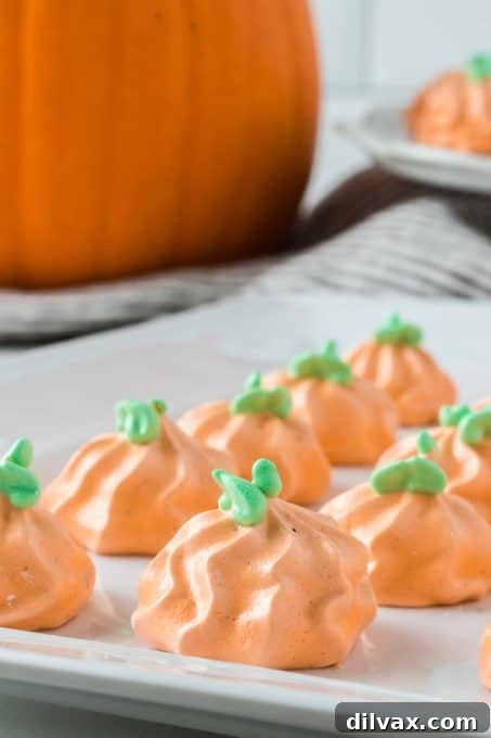Cloud-Light Pumpkin Spice Gourds 12 Meringues infused with delicious pumpkin spice flavor.
