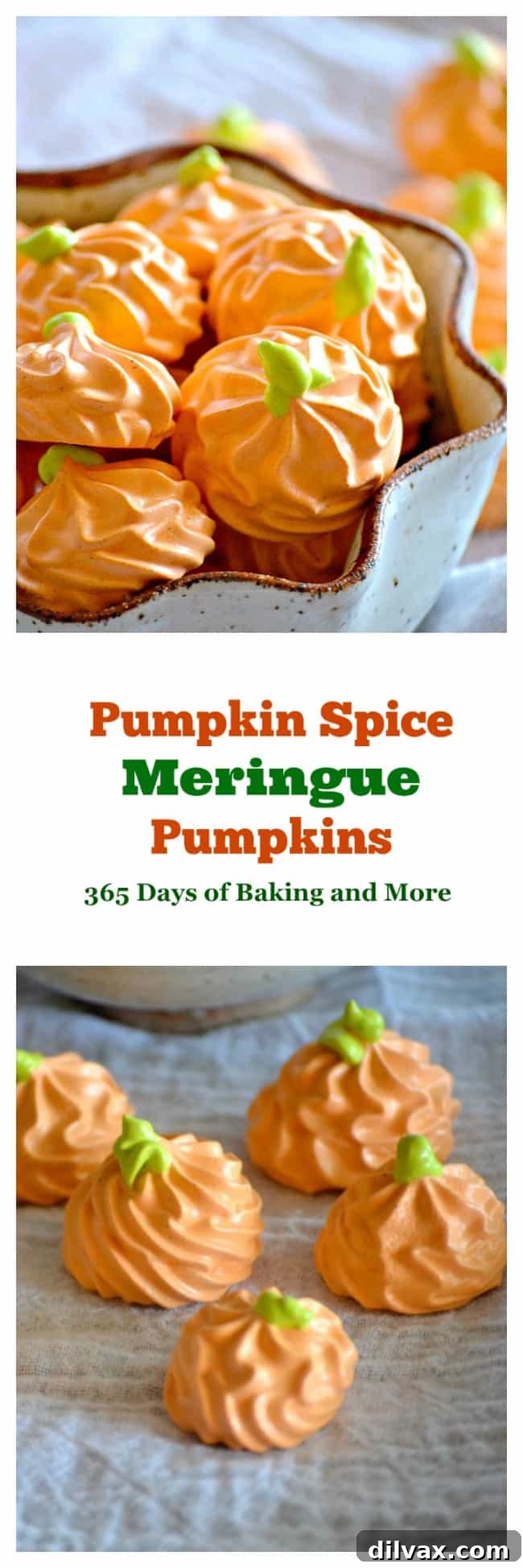 An array of delicious Pumpkin Spice Meringue Pumpkins, a delightful fall treat for everyone