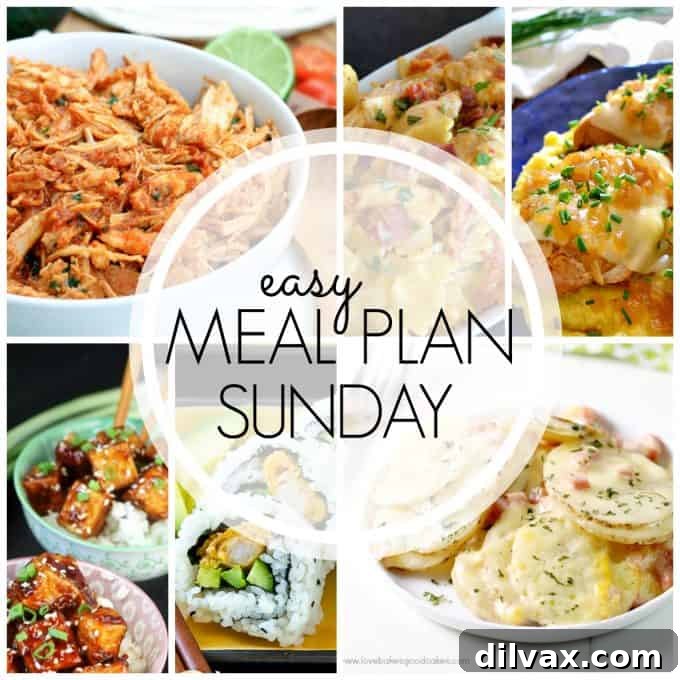With Easy Meal Plan Sunday Week 63 - six dinners, two desserts and a breakfast recipe will help you remove the guesswork from this week's meal planning.