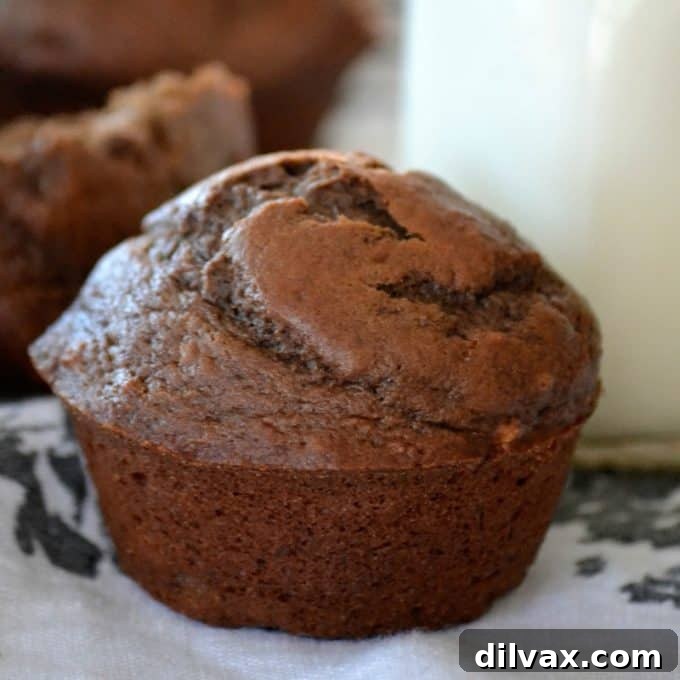 Chocolate Banana Muffins - a delightful fusion of chocolate and banana for the perfect morning treat!