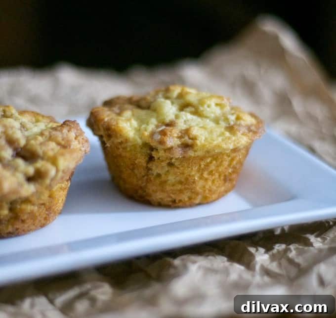 A soft, tasty muffin that has cinnamon and sugar mixed throughout. Perfect with that morning cup of coffee.