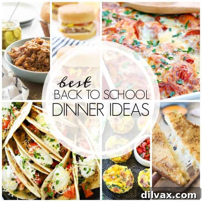 These Best Back to School Dinner Ideas are easy entrees to help see you through the busy school year. Put an easy AND feel good dinner on the table tonight!
