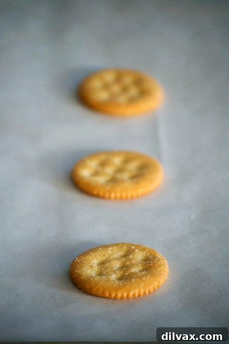 Sweet Heat Cola Pulled Pork Bites 5 A hand gently placing a scoop of sweet and spicy Coca-Cola shredded pork onto a RITZ cracker, part of the appetizer assembly.