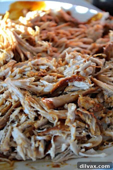 Sweet Heat Cola Pulled Pork Bites 8 Tender pork being shredded with two forks after slow cooking, showcasing its readiness to absorb more delicious sauce.