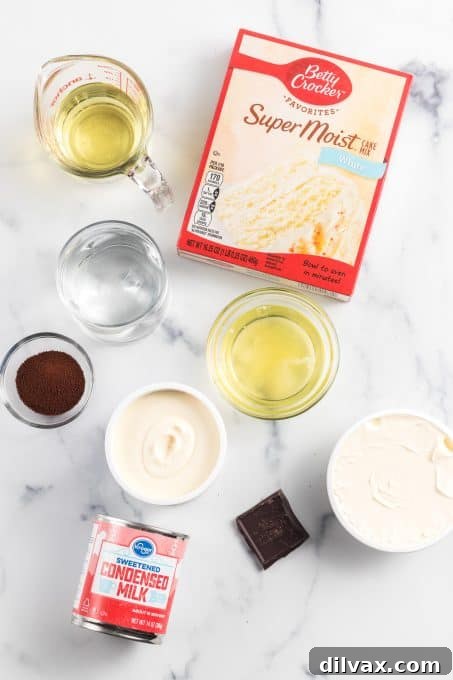 Ingredients for Tiramisu Cake spread out on a counter