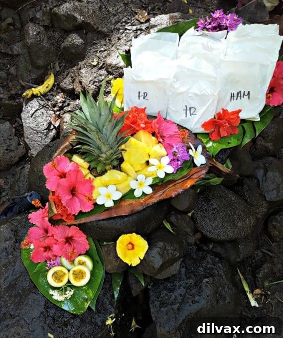 Kauai: Where to Stay and What to Do. Rainbow Kayak Adventure Tours - Kauai, HI Ask for Thomas