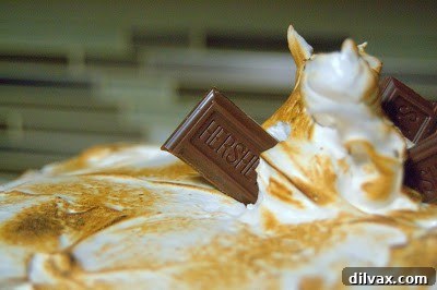 Campfire Delight Cake 2 Slice of S'mores Cake with toasted marshmallow frosting and chocolate layers