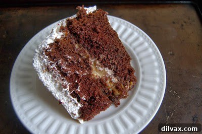 Campfire Delight Cake 12 Another angle of the beautifully toasted marshmallow frosting on the S'mores Cake