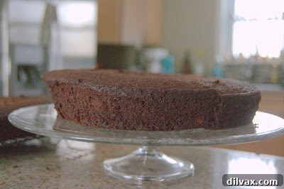 Campfire Delight Cake 4 Ingredients for S'mores Cake laid out on a kitchen counter