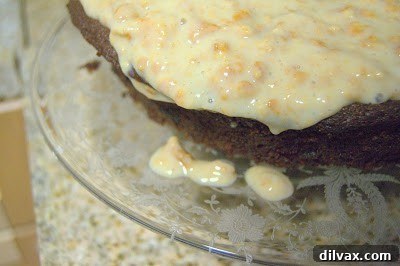 Campfire Delight Cake 8 Graham Cracker Vanilla Cream Filling spread on the first cake layer, slightly dripping