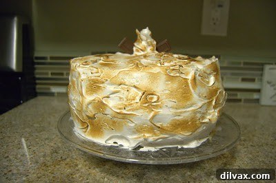 Campfire Delight Cake 10 Finished S'mores Cake with beautifully toasted marshmallow frosting