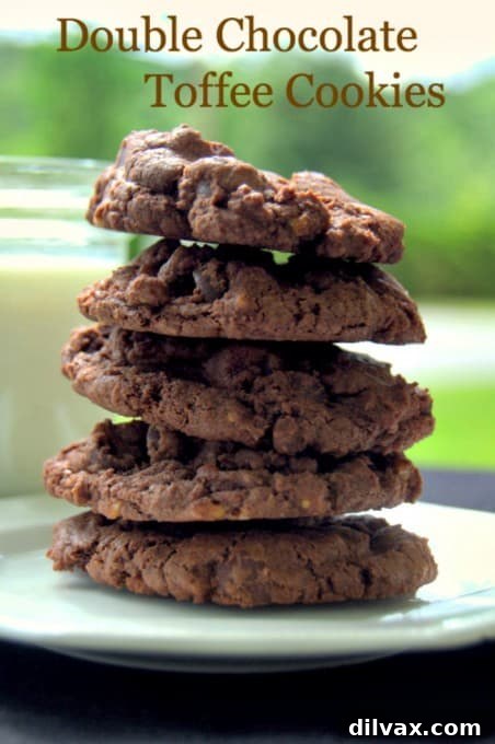 Double Chocolate Toffee Cookies - rich chocolate cookies with dark chocolate chips and crunchy bits of toffee candy.