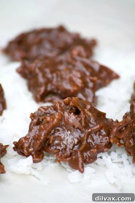 Chewy, flourless chocolate coconut cookies – a sweet and satisfying indulgence.