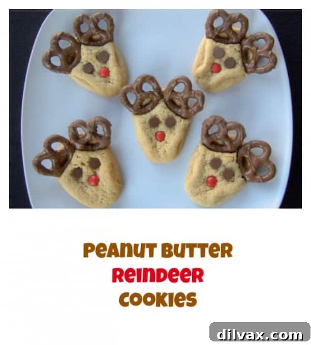 Festive peanut butter reindeer cookies decorated for the holidays.