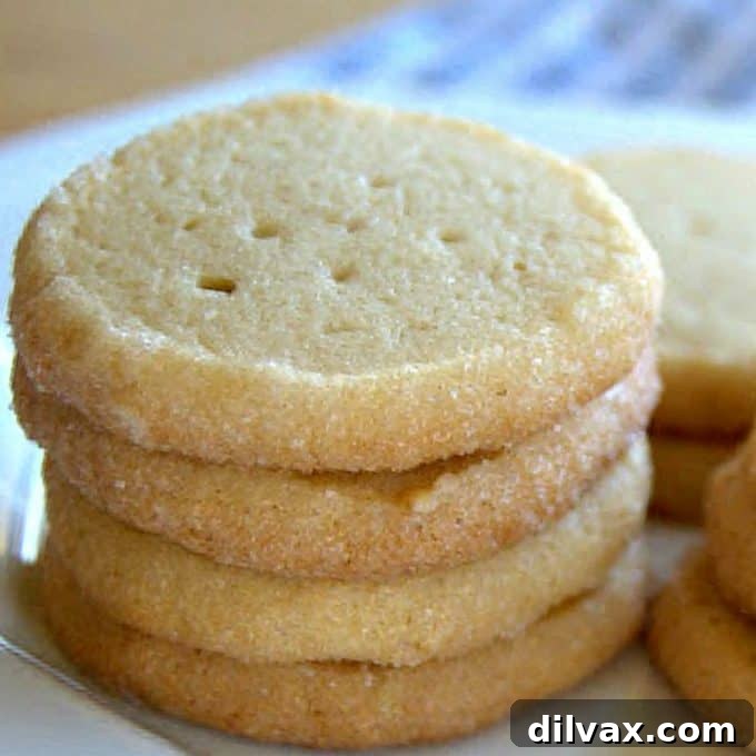 Jackie's Signature Vanilla Cut-Out Sugar Cookies 11 Classic French Butter Cookies, rich and delicate.