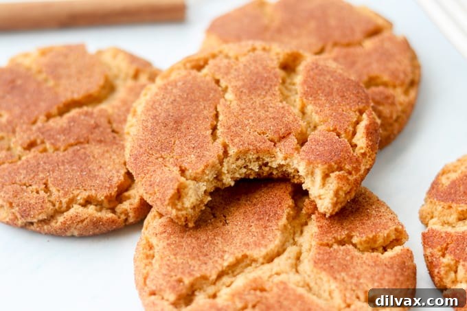 Gingerbread Snickerdoodle Twist 2 A bite taken out of a perfectly baked Ginger Molasses Snickerdoodle cookie, showing its soft interior.