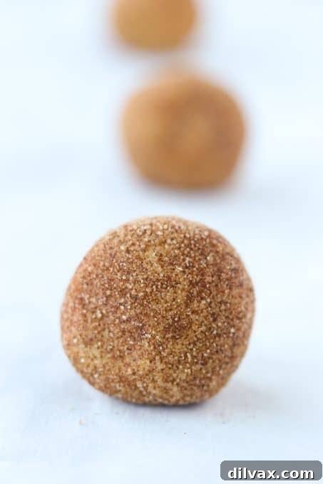 Gingerbread Snickerdoodle Twist 4 Unbaked balls of Ginger Molasses Snickerdoodle dough, rolled in cinnamon sugar, ready for the oven.