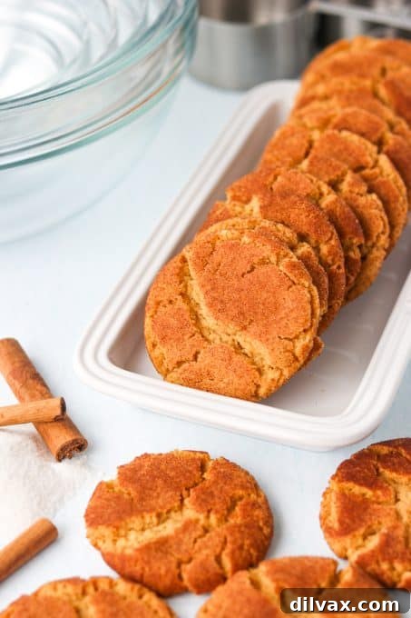 Gingerbread Snickerdoodle Twist 6 Freshly baked Ginger Molasses Snickerdoodle Cookies glistening with cinnamon sugar.