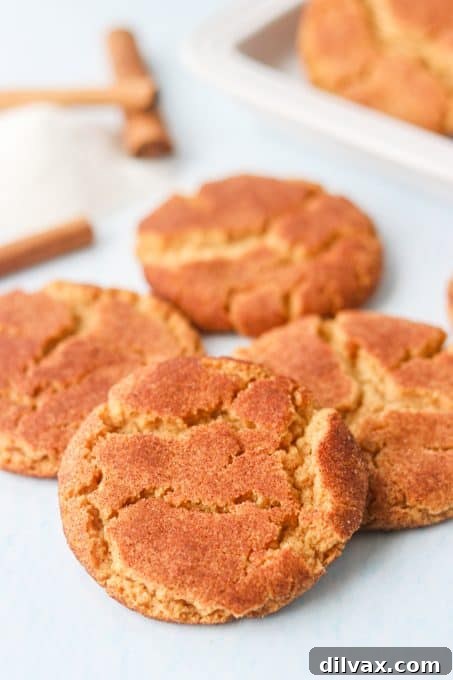 Gingerbread Snickerdoodle Twist 9 A close-up of a Ginger Molasses Snickerdoodle cookie with a golden-brown hue and crinkly texture.