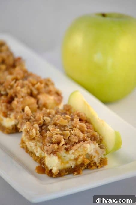 Readers Choice Top Ten 2016 12 Decadent Caramel Apple Cheesecake Bars: creamy cheesecake over a graham cracker crust, topped with cinnamon-spiced apples, a crunchy streusel, and a luscious caramel drizzle. The perfect fall dessert, enjoyable all year.