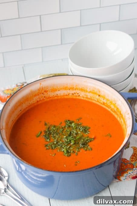 A bowl of creamy tomato basil soup on a dark surface, garnished with fresh herbs and a spoon, highlighting its inviting appearance.