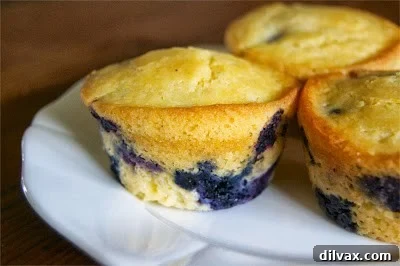 Another vintage photo of blueberry cornmeal muffins, showcasing their golden crust and simple beauty.