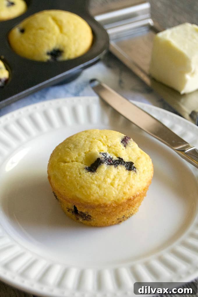 Blueberry Cornmeal Muffins are the corn muffins you love with the great addition of plump delicious blueberries. Add something new to your breakfast table!