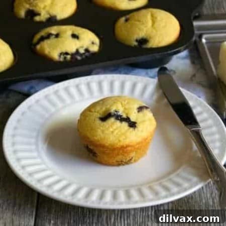 A square image of a delicious blueberry cornmeal muffin, showcasing its golden crust and blueberry flecks.