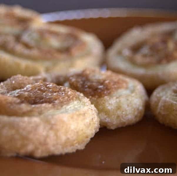 These Cinnamon Sugar Palmiers are the perfect treat to accompany your morning coffee and are easily made from pastry dough and a cinnamon sugar combination. Make these and you'll make any breakfast a little more special. 