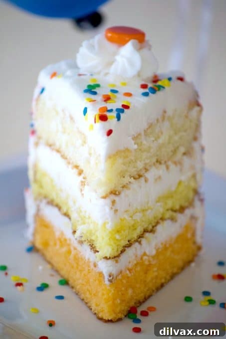 Sunshine Citrus Cake 2 Close-up of the ombre Citrus Layer Cake showcasing its colorful layers and the whimsical helium balloons attached, making it a perfect center-piece for any celebration.